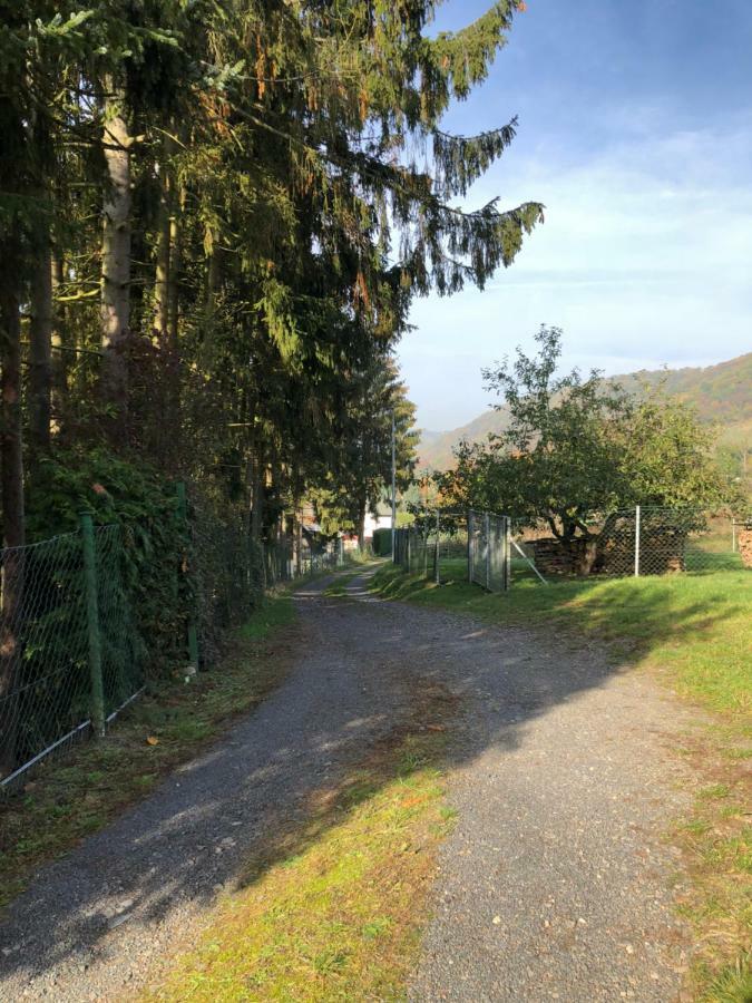 Ferienwohnung Appartement In Rheinbrohl Exteriör bild